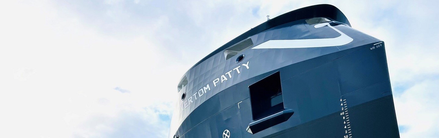 Safe and prosperous journeys, vertom party